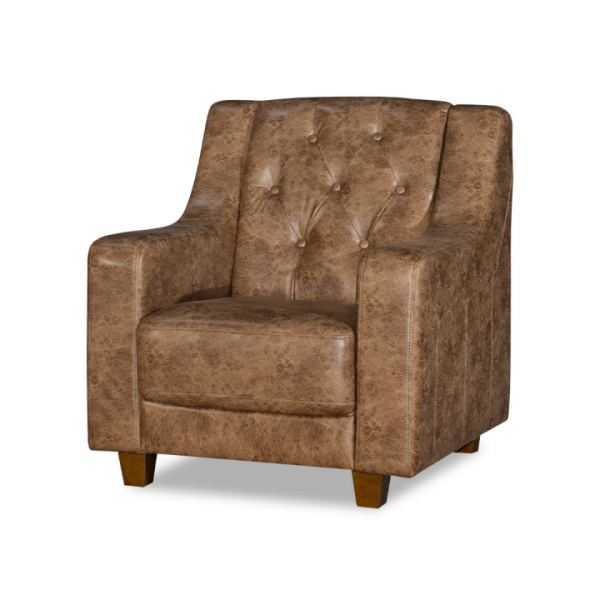 BT Vitoria Library Armchair in Faux Leather